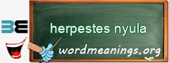 WordMeaning blackboard for herpestes nyula